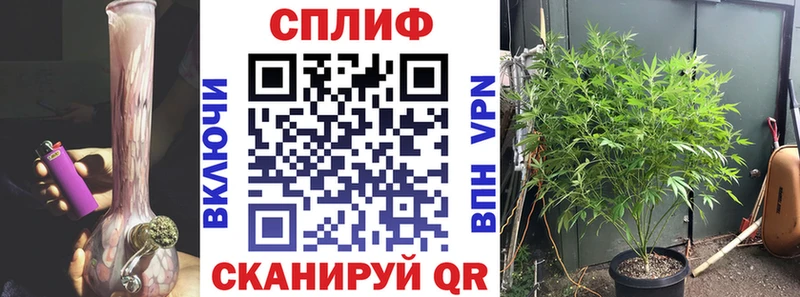 Купить наркоту Невель Канабис  КОКАИН  СОЛЬ  МЕТАДОН  ГАШ  Меф мяу мяу 