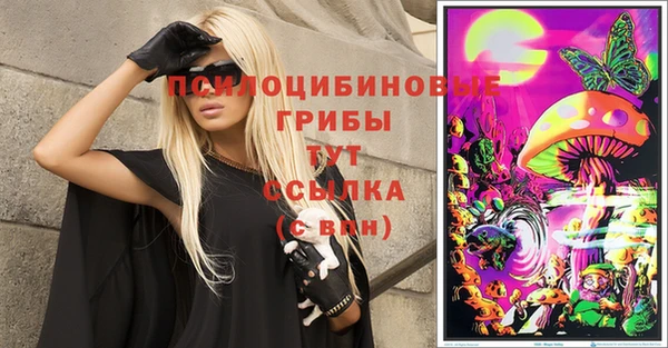2c-b Белокуриха