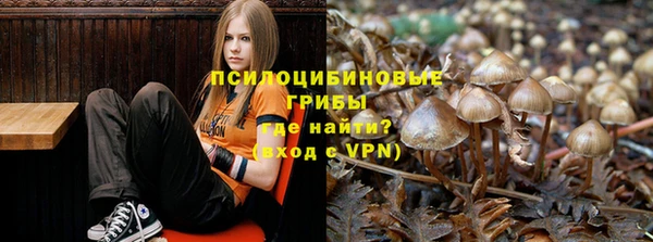 каннабис Богородск