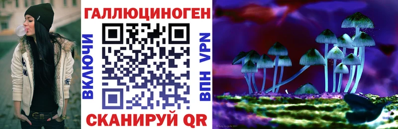 Псилоцибиновые грибы Magic Shrooms  Невель 